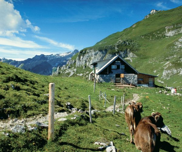 Ebenalp-Chlus-Zisler-Aescher-Wildkirchli-Ebenalp