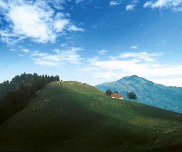 Ebenalp-Wildkirchli-Bommenalp-Blättliweg-Wasserauen